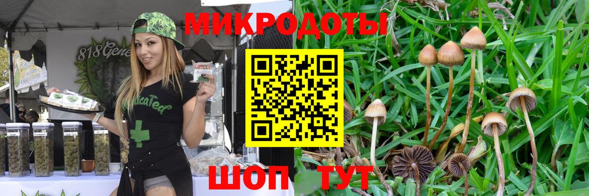 Галлюциногенные грибы GOLDEN TEACHER Альметьевск